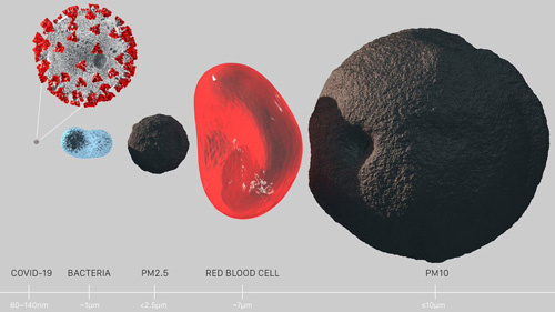 Hummingbird Site: Air Quality: Particulate Matter Comparison